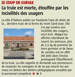 20200304 Ferme du Mont dcs truie VdN revue de presse