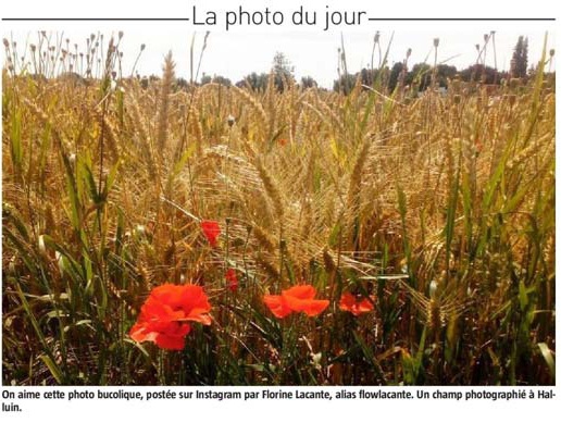 20170705 NE Photo du jour Halluinoise revue de presse